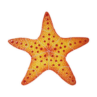 Starfish Pool Mosaic Accent - 10"x10", Red