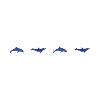 Step Marker - Dolphins